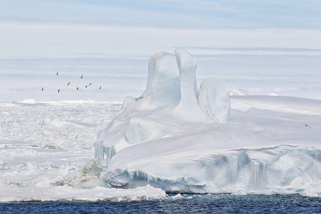 Sea-ice-stacked-up-in-the-Antarctic-Sound_BM7E4885-Antarctic-Sound-Antarctica.jpg