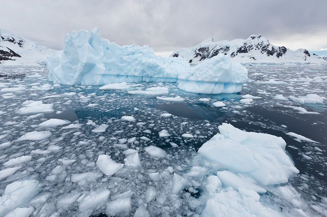 Iceberg-and-brash-ice-floating-in-Paradise-Bay_S6A9368-Paradise-Bay-Antarctica1.jpg