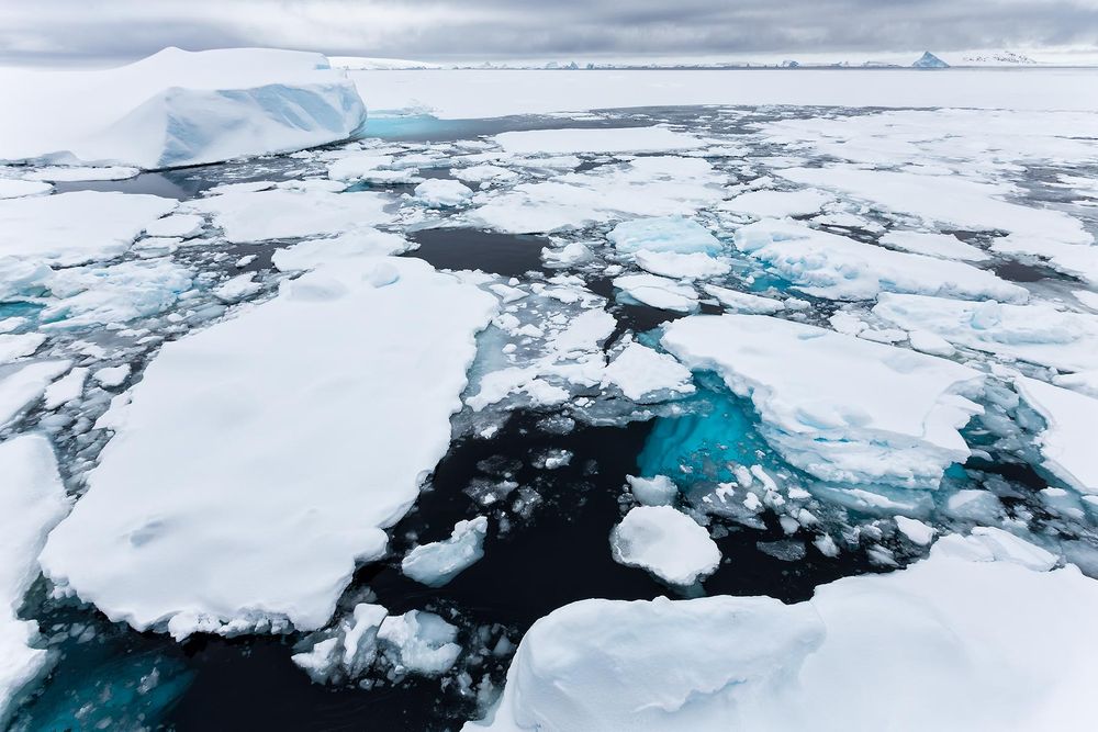 Sea-ice-near-Booth-Island_S6A5776-Lemaire-Channel,-Gerlache-Strait,-Antarctica.jpg