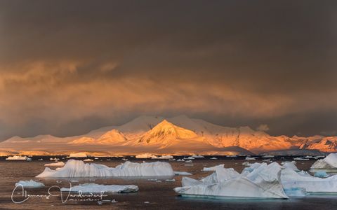 ice-bergs-floating-with-mountains-in-late-light_e7t2944-booth-island-antarctica.jpg