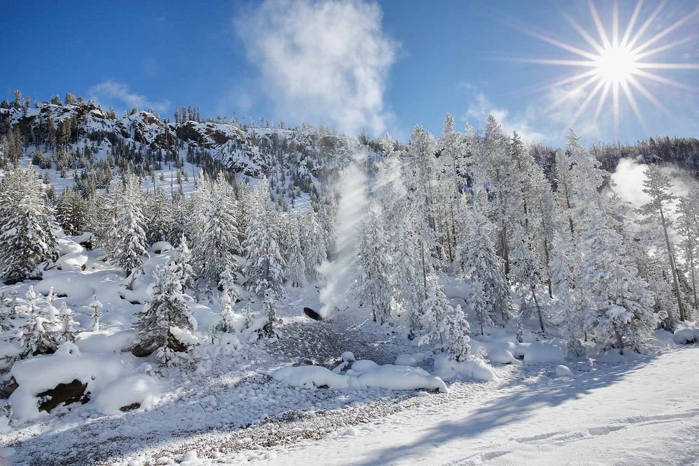 Snow-covered-trees-and-geyser-with-starburst-sun_S6A5747-Yellowstone-National-Park,-WY,-USA.jpg