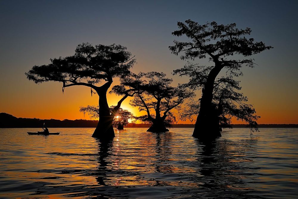 Kayak-at-sunrise-with-cypress-trees_83A6381.jpg