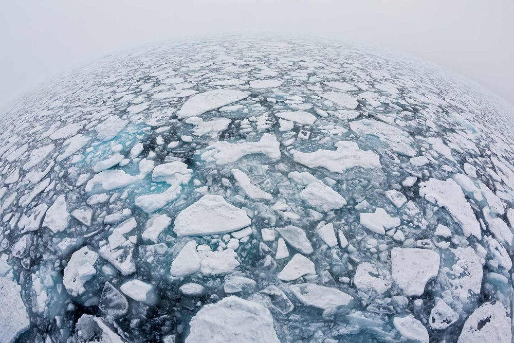 World-of-sea-ice_S6A3368-Sea-ice-at-82-degree-North,-Svalbard,-Arctic.jpg