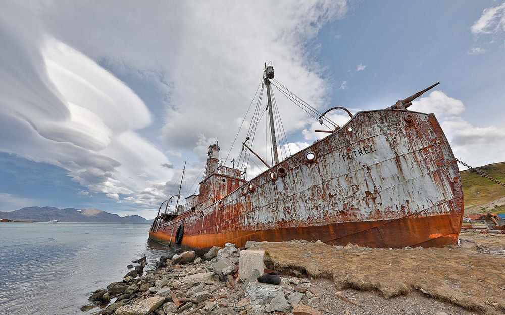 Whaling vessel Petrel_83A4740-Grytviken, South Georgia Island.jpg