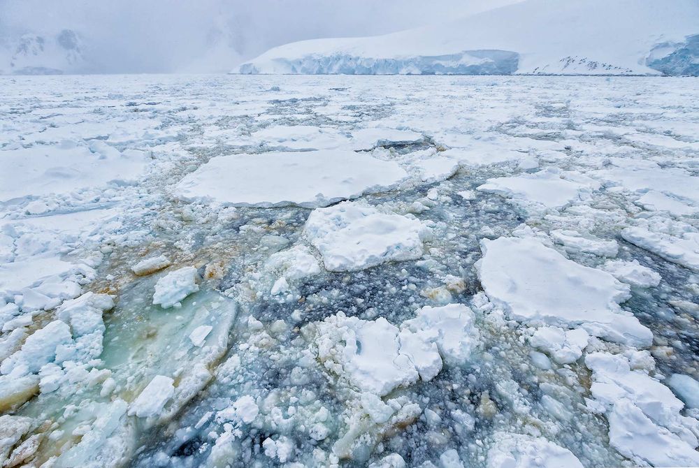 Sea-ice-in-front-of-the-ship_S6A0955-Neumayer-Channel,-Antarctica.jpg