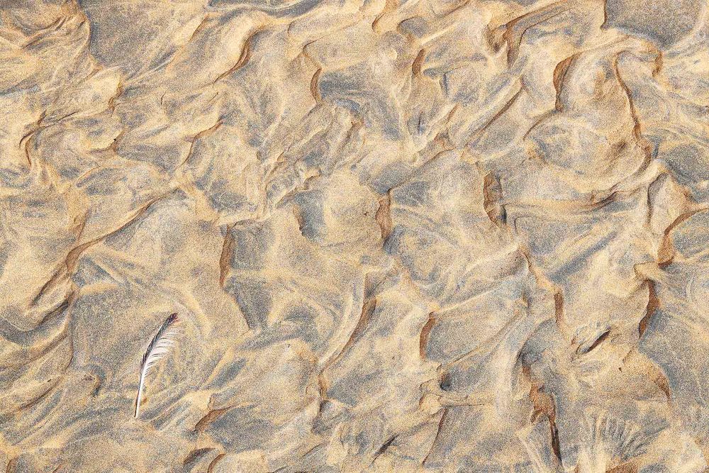 Sand-patterns-and-feather-on-beach_A3I3041-Raudisandur,-West-Iceland.jpg