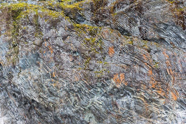 Rock-face-with-colorful-lichen_E7T3170-Paradise-Bay-Antarctica.jpg