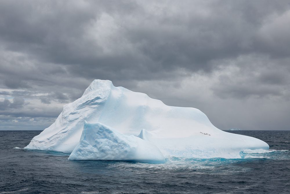 Iceberg-with-chinstrap-penguins_S6A1346-Drygalski-Fjord,-Cooper-Sound,-South-Georgia-Islands,-Southern-ocean.jpg