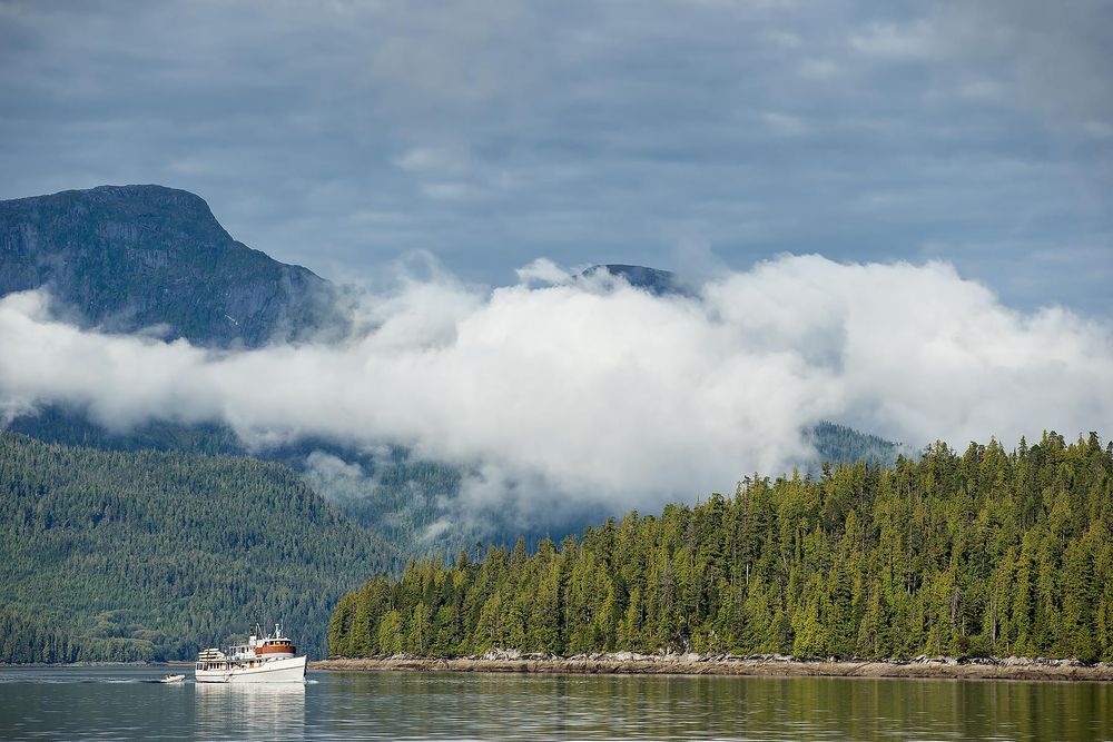 Motor-vessel-cruising-II_E7T3109-Gribbell-Island,-British-Columbia,-Canada,.jpg