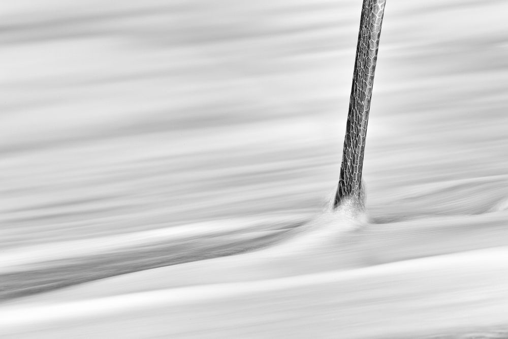 Great-Blue-Heron-leg-blur-on-the-beach-II_B&W_No-Border_M7E0289-Blind-Pass,-Sanibel-Island,-FL.jpg