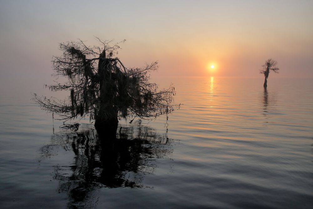 Sunrise in the mist_S6A0026-Lake Blue Cypress, FL, USA.jpg