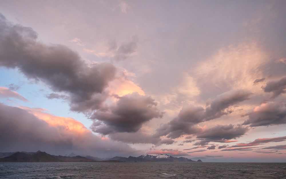 Pre-dawn skies over Saint Andrews bay_83A4395-Saint Andrews Bay, South Georgia Island.jpg