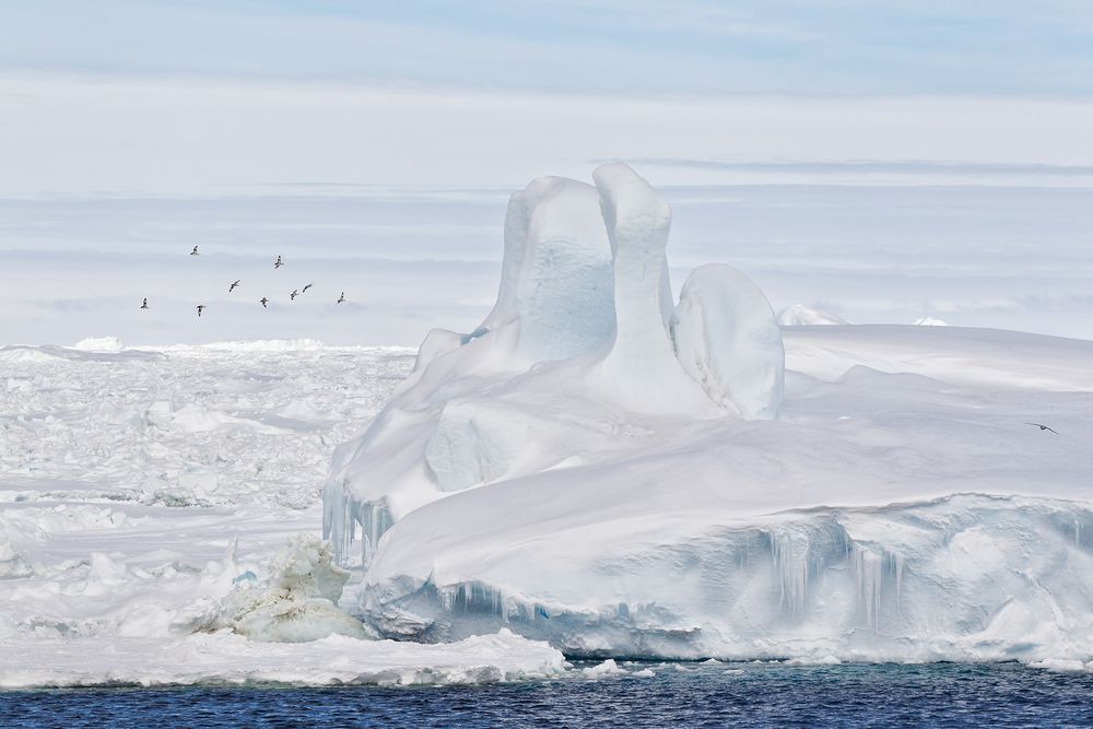 Sea-ice-stacked-up-in-the-Antarctic-Sound_BM7E4885-Antarctic-Sound,-Antarctica.jpg