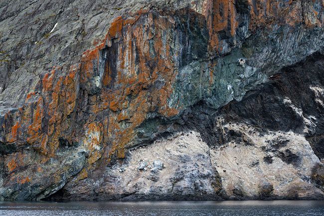 Rock-face-with-Shag-colony_E7T3088-Paradise-Bay-Antarctica.jpg