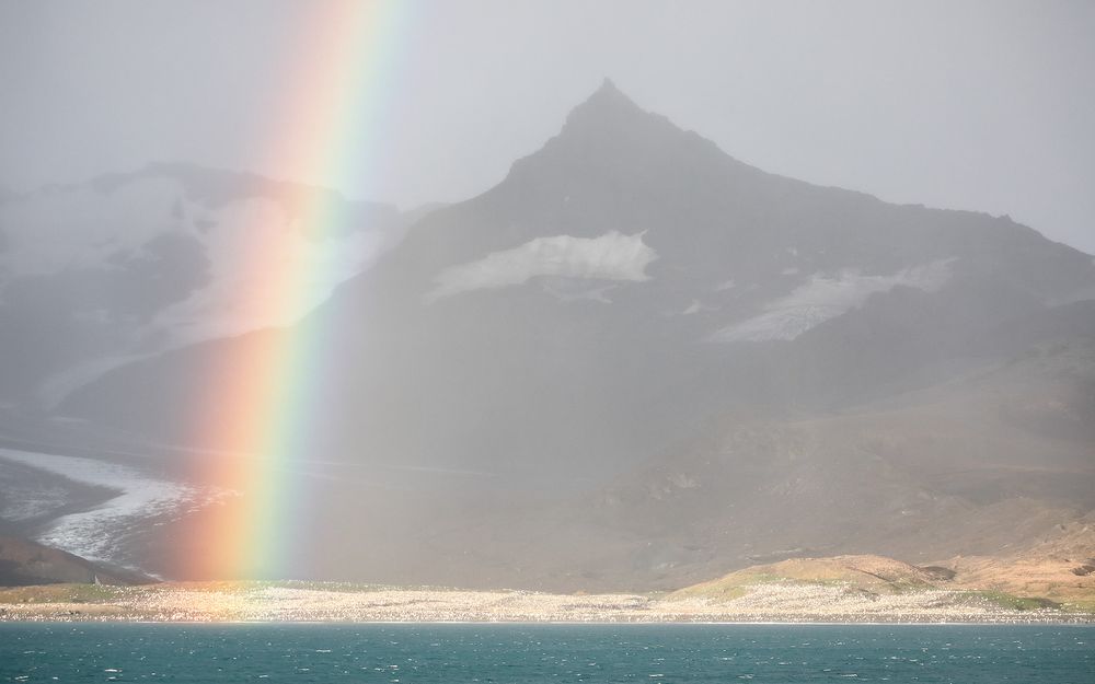 Rainbow over the penguin colony_83A4507-Saint Andrews Bay, South Georgia Island.jpg