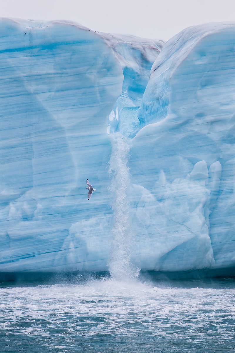Ice-sheet-with-melt-water-river-vertical_B8R5116-Brasvellbreen,-Svalbard,-Arctic.jpg