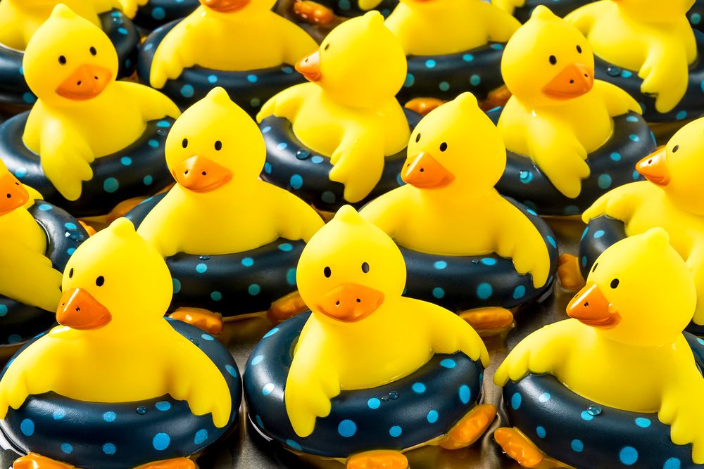 Duckies.jpg