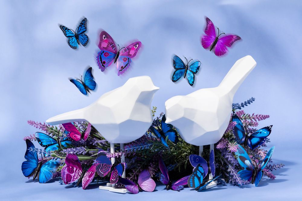 WhiteBirds.jpg