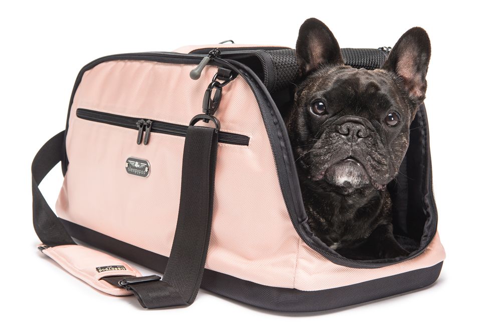 Minnesota Animal photographer