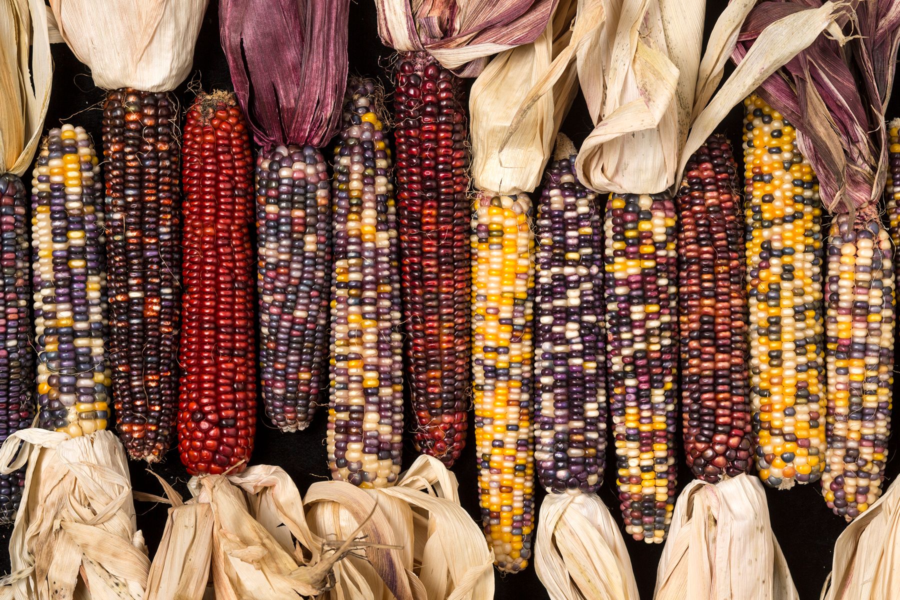 FieldCorn_October.jpg