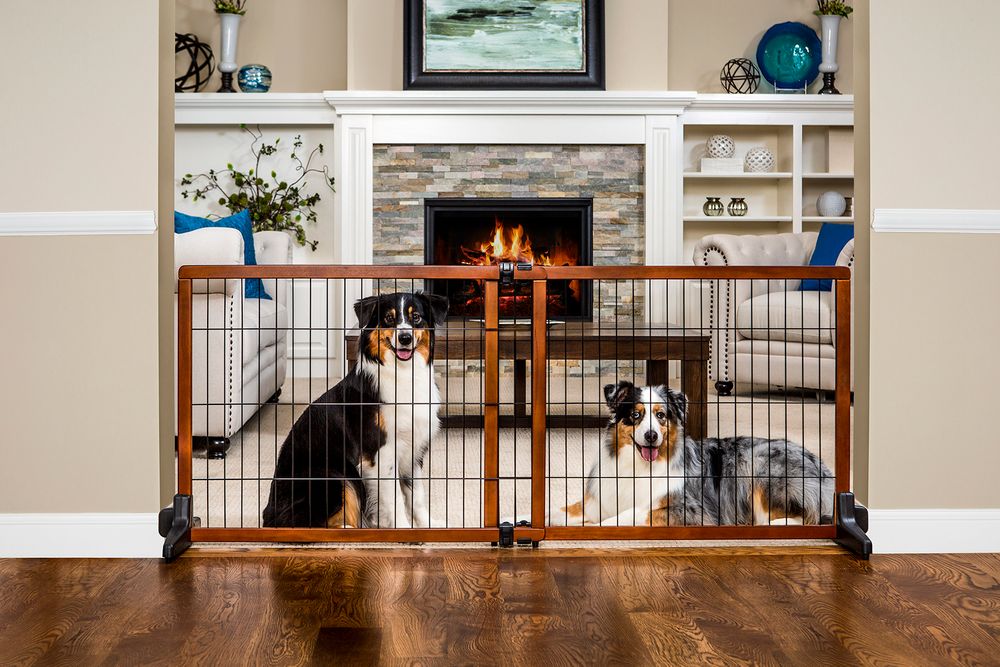 Minnesota Animal photographer