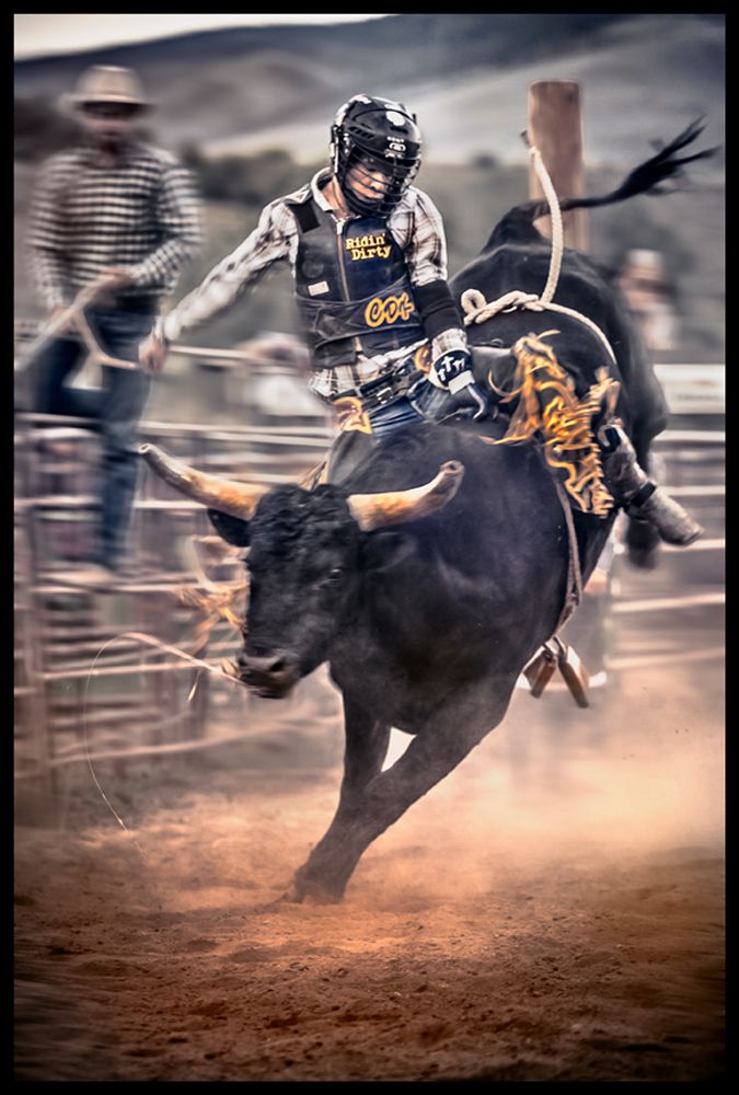 bullrider-colorado-rodeo.jpg