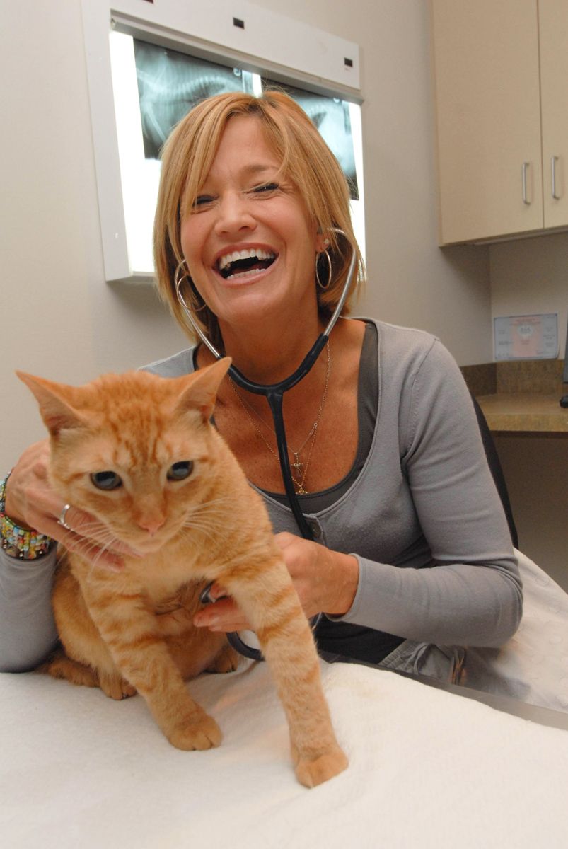 Client - Veterinary Specialty & Emergency Center (VSEC), Levittown, PA