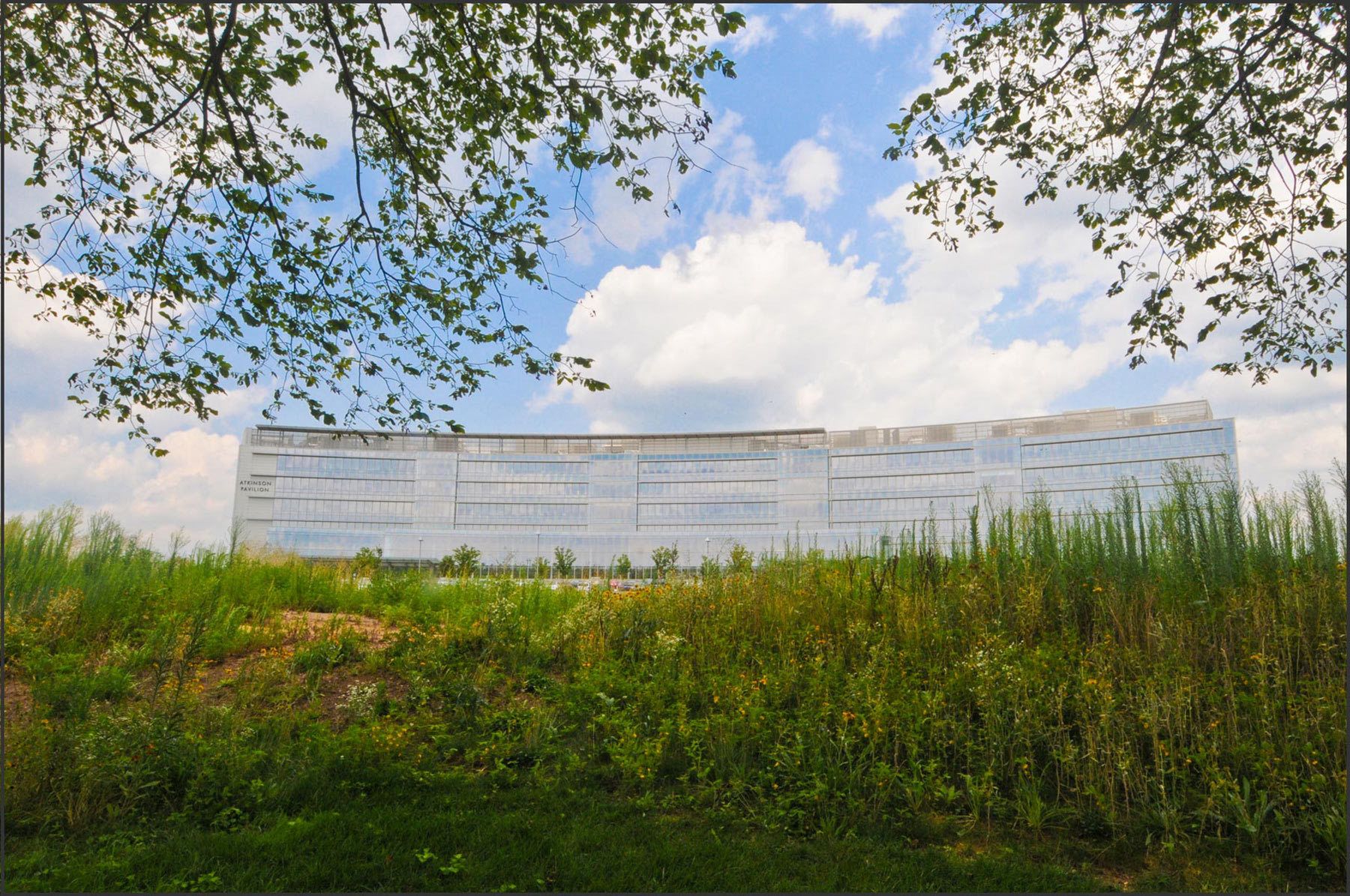 New York Times, Aug. 2014