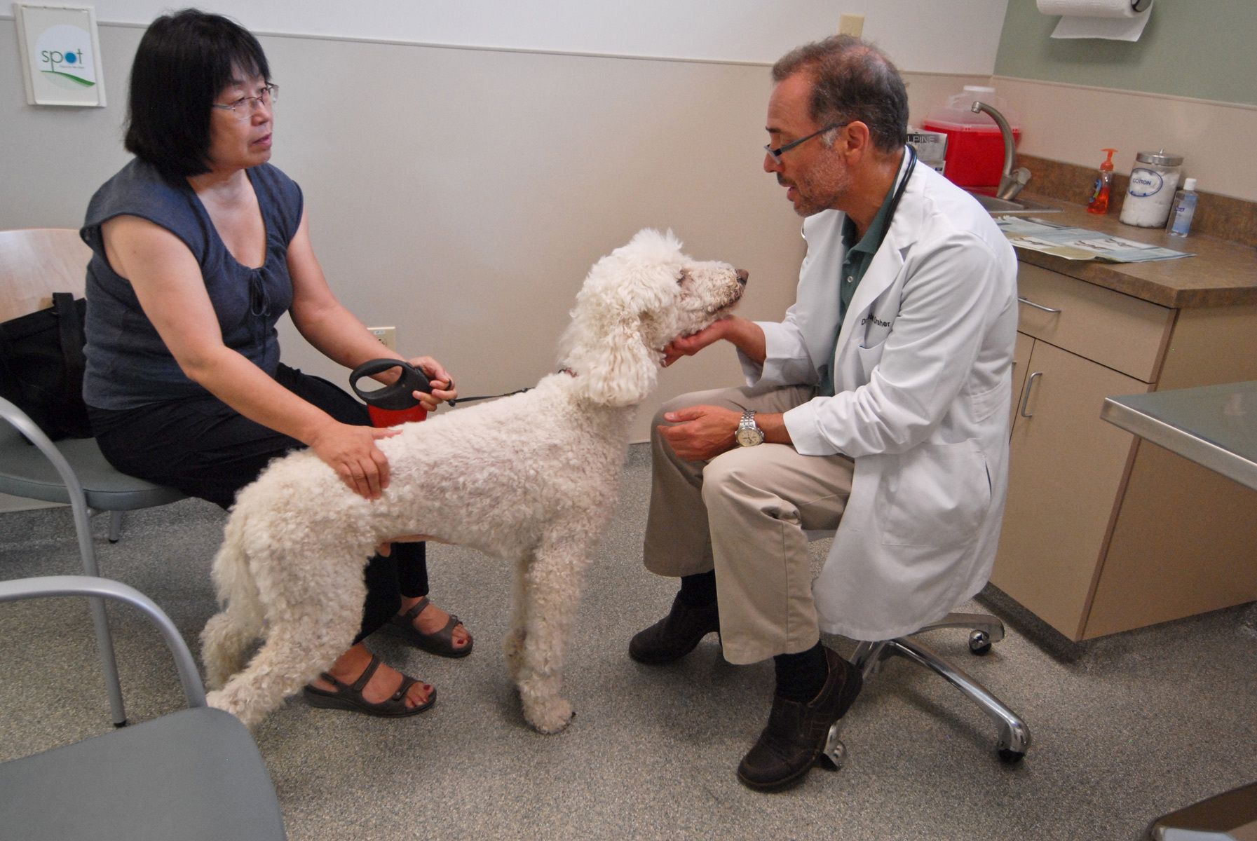 Client - Veterinary Specialty & Emergency Center (VSEC), Levittown, PA