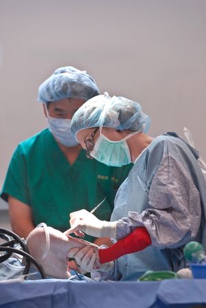 Client - Veterinary Specialty & Emergency Center (VSEC), Levittown, PA