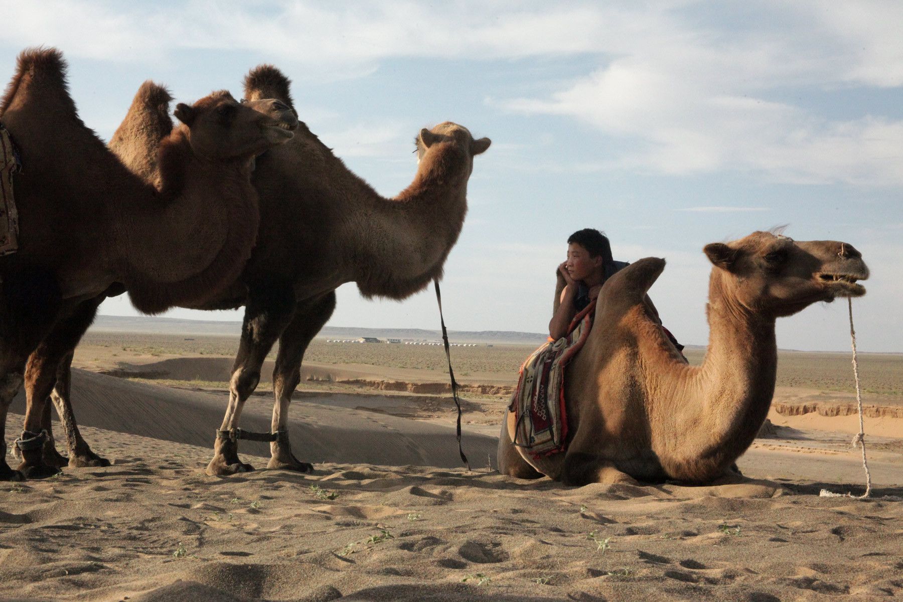 1travel_mongoliaboylostinthought