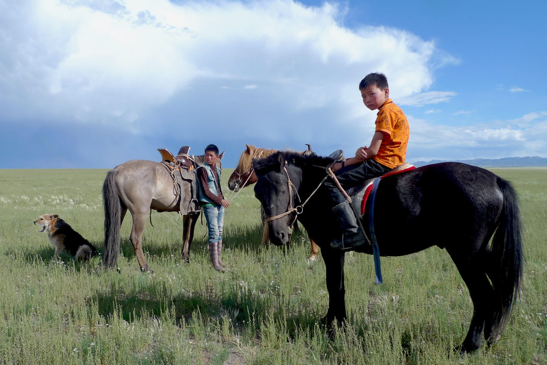 1twoboystwohorseonedog