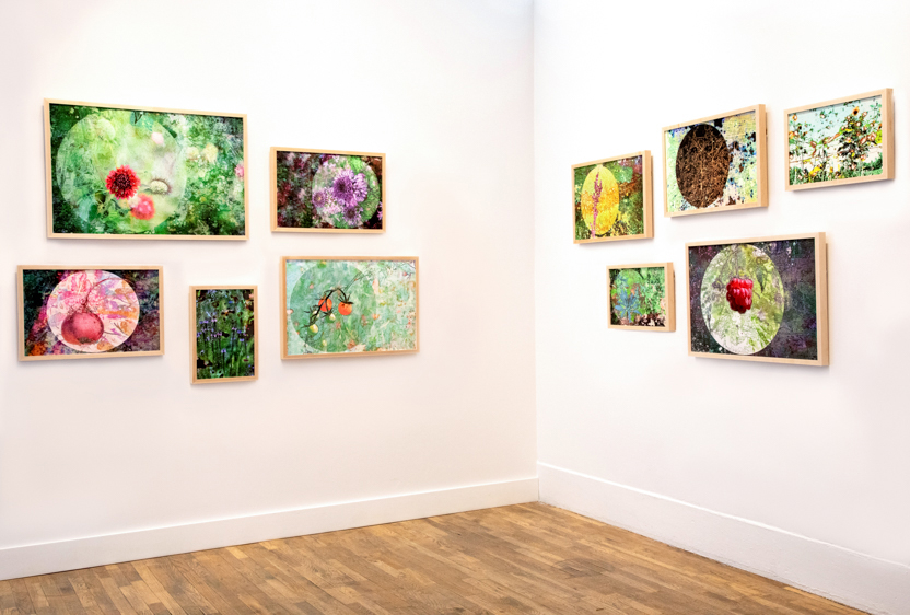 From the Ground Up Solo Exhibition