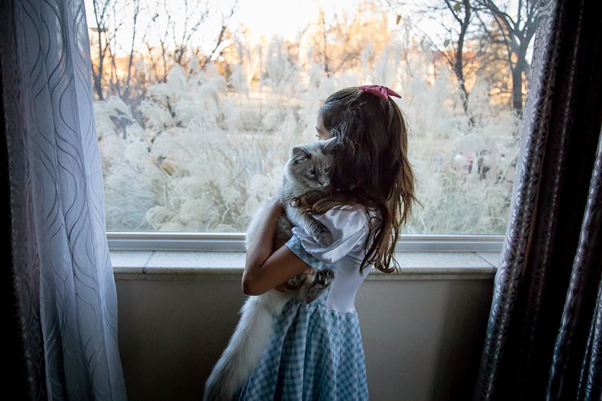 Safer-at-Home Order, Sophie and Luna