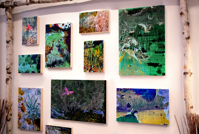 High Creek Fen Solo Exhibition