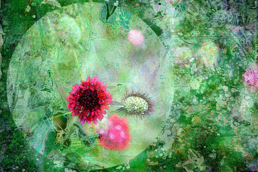 Pincushion