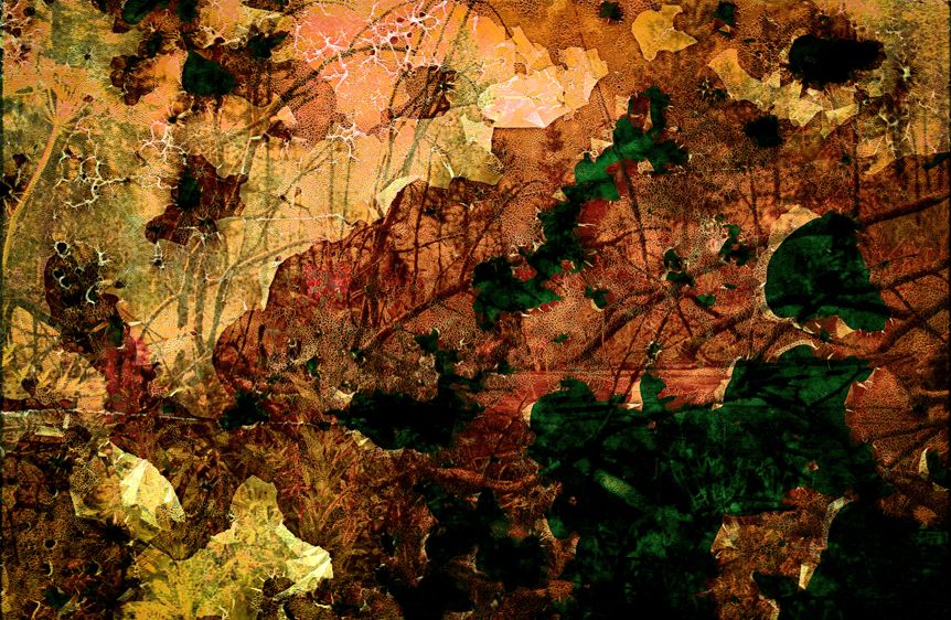 Silver Creek Wildfire Burn Scar #2, Kremmling, CO