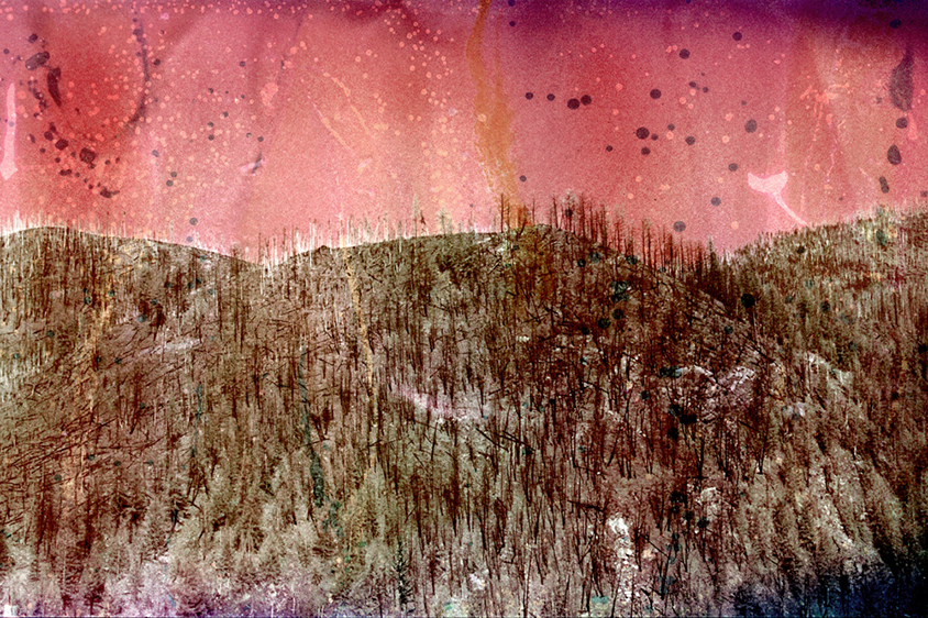 Williams Fork WIldfire Burn Scar #2, Arapaho National Forest, CO