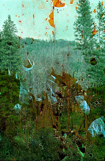 Silver Creek Wildfire Burn Scar #2, Kremmling, CO