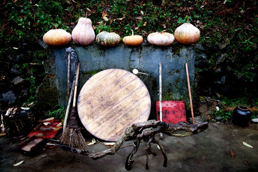 Anhui Province, China,  Copyright Melissa Lynn 2019 Bamboo Forest Still Life