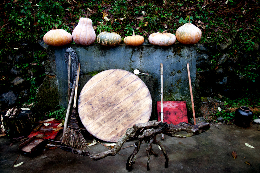 Anhui Province, China, Copyright Melissa Lynn 2019 Bamboo Forest Still Life