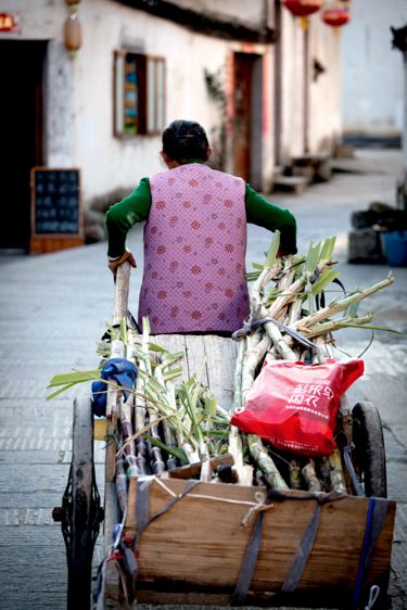 Pingshan Ancient Village, China,  Copyright Melissa Lynn 2019 Chinese Woman with Bamboo