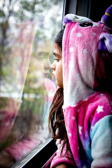 Stay-at-Home Order #19