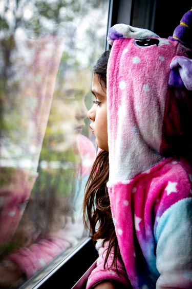 Stay-at-Home Order #19