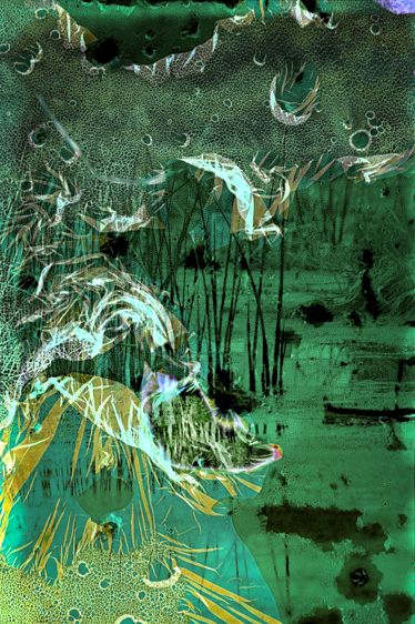 Bulrush