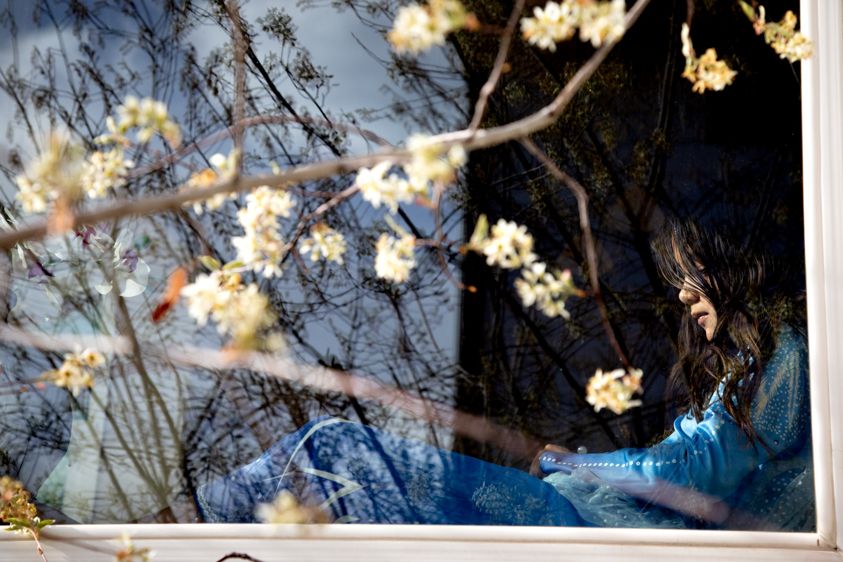 Stay-at-Home Order #3