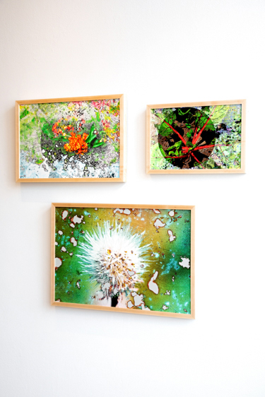 From the Ground Up Solo Exhibition