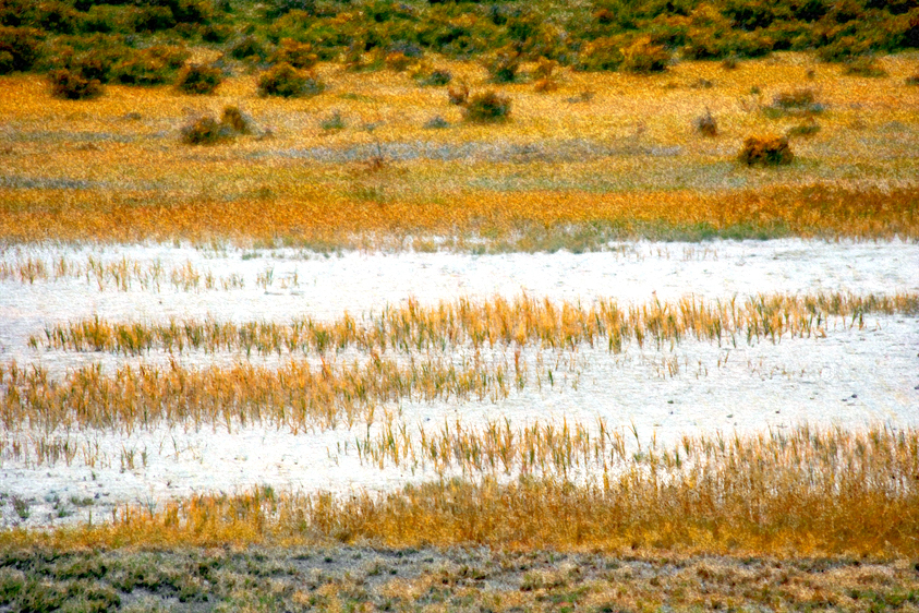 Blanca Wetlands, San Luis Valley, CO