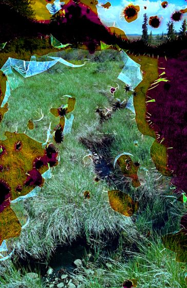 Fen Water #2