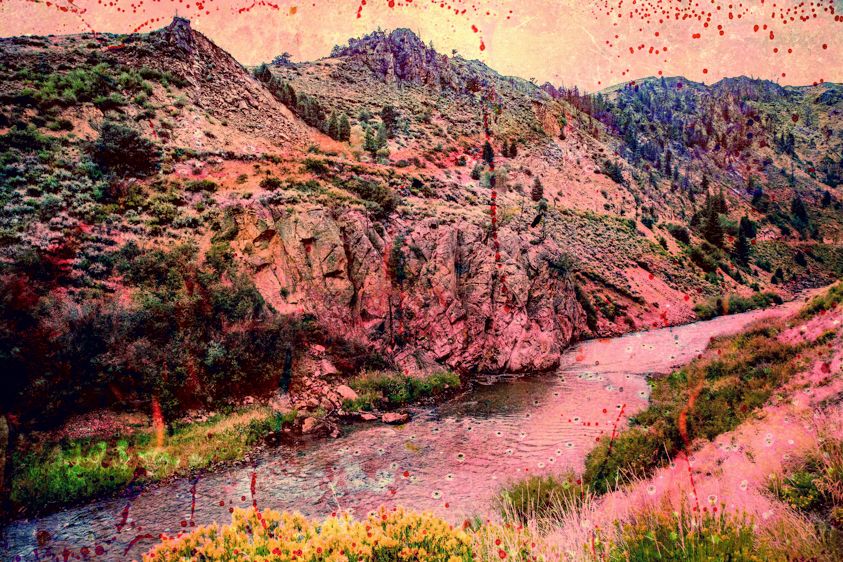 Colorado River-Endangered